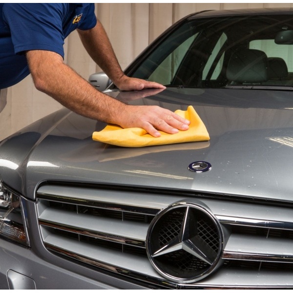 0002987_synthetic-chamois_1314962170