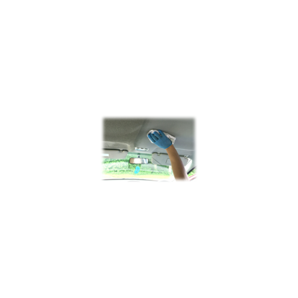 headliner cleaning 1273984398