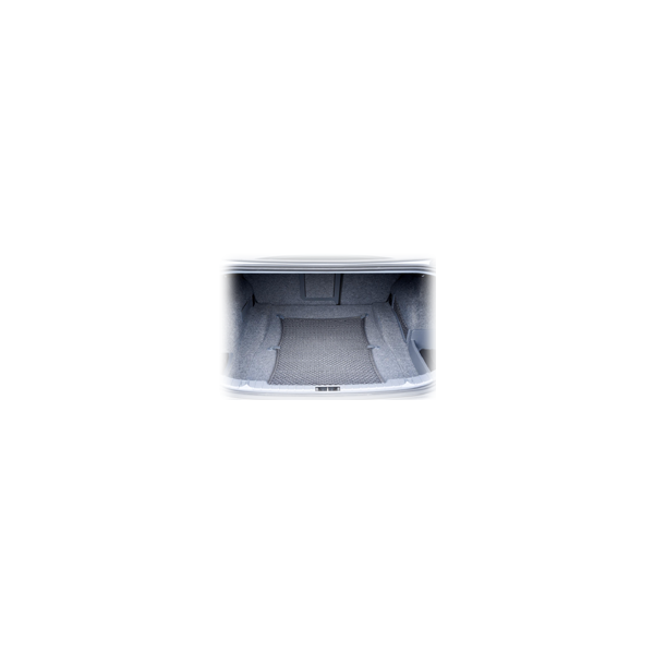 shampoo car trunk