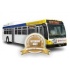bus exterior only bronze