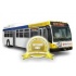 bus exterior only gold