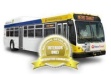 bus exterior only gold