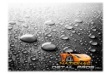 ndp paint protection warranty