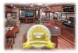trailer int gold