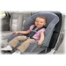 car_seat_cleaning1