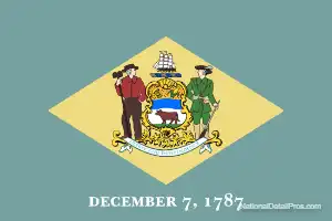 Delaware's Local State Flag.