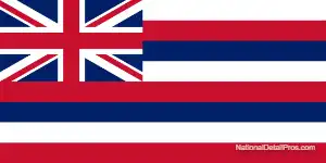 Hawaii's Local State Flag.