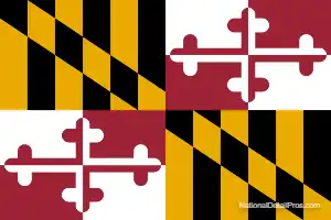 Maryland's Local State Flag.