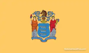 New Jersey's Local State Flag.